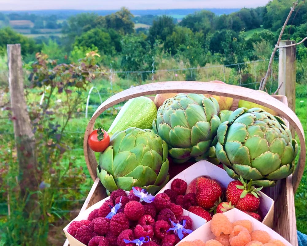 Panier de fruits et légumes de la ferme