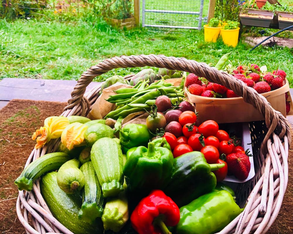 Panier de légumes de la ferme