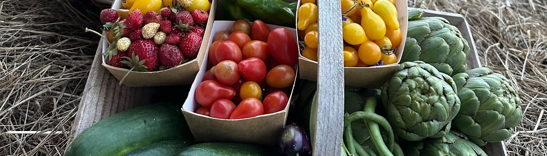 Produits du Jardin