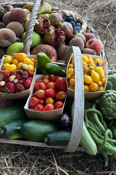 Produits du Jardin