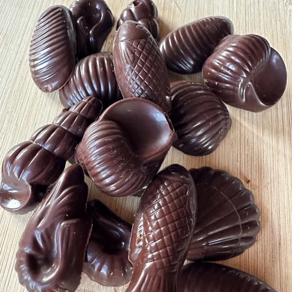 Quoi de neuf à la boutique ? 