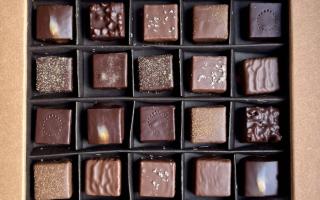 Assortiments de ganaches et pralinés (20 pièces)