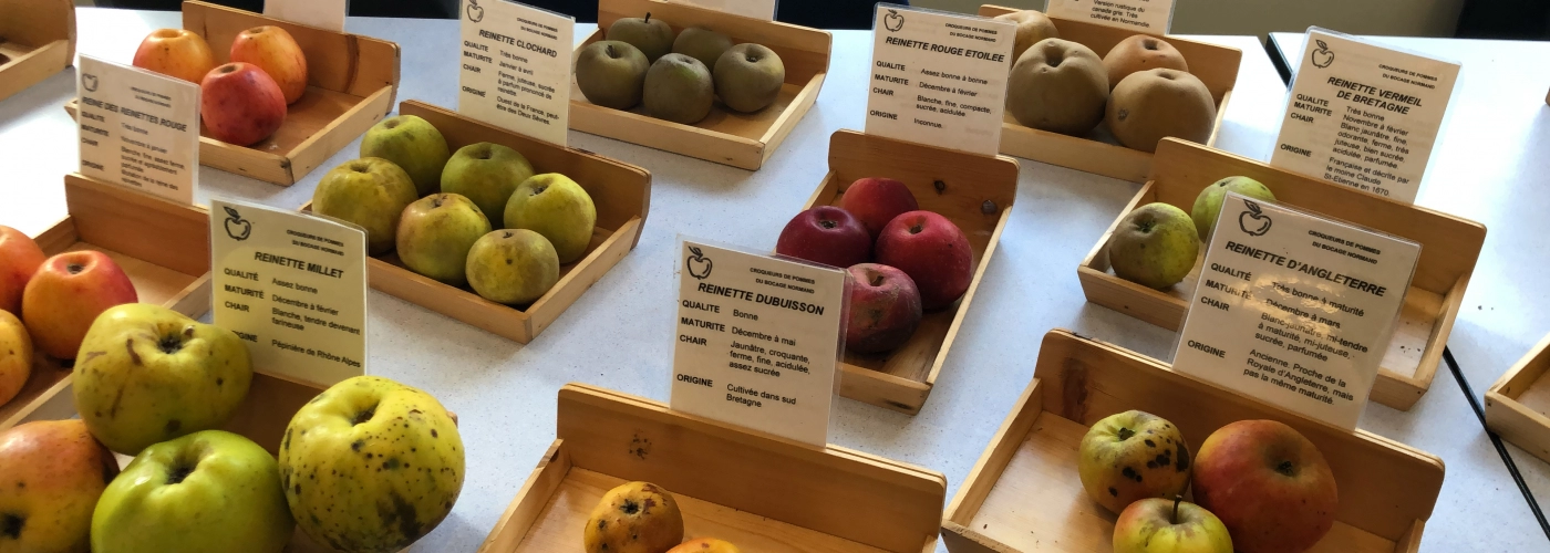 Chercher, se former, s’imprégner
